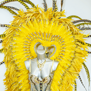 Medium Costume Rental