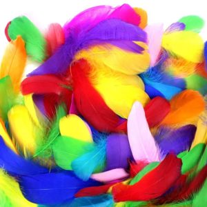 Craft feathers