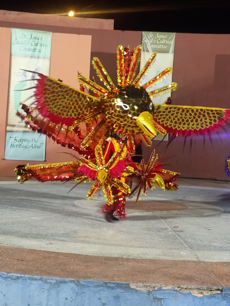 May be an image of hornbill